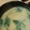 料理初心者あぃ☆'s cooksnap of when they made 今日のお味噌汁はほうれん草と卵のお味噌汁.