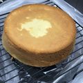 2483's cooksnap of when they made ★しっとりきめ細かなスポンジケーキ★.