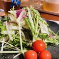 ＊＊もっさん＊＊'s cooksnap of when they made 手作りドレッシングの大人サッパリサラダ.