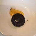 クックHU4ZNH☆'s cooksnap of when they made 飴 [水不使用、シロップ版] 分量記録.