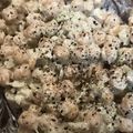 saki1010's cooksnap of when they made ひよこ豆のヨーグルトサラダ.