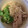 みうらけいこ's cooksnap of when they made 豚コマとモヤシのタイ風炒め.