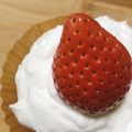 すぎのぽ's cooksnap of when they made ホットケーキミックスで＊スポンジケーキ.