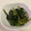 papikun's cooksnap of when they made 青菜(小松菜など)の海苔和え.