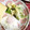 ☆yopipi's cooksnap of when they made 目玉焼きはやっぱり塩‼️.