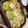 ソラポコタマゴ's cooksnap of when they made ホットプレートでチーズダッカルビ.