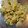 ぱんぽん's cooksnap of when they made さつまいものマヨサラダ.