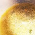 1男4女のママ's cooksnap of when they made 1品で2度楽しめる、海藻麺でふかひれ！？.