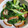 ベルたん♪'s cooksnap of when they made 10分でできるタア菜のササッと煮.