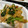 Halü★mama's cooksnap of when they made ほうれん草のキムチバター炒め.