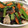ゆみゆママ's cooksnap of when they made 豚肉と小松菜とキクラゲの中華風玉子炒め.