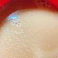 りーとぽん's cooksnap of when they made ほうじ茶ラテ.