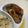 ケティ。's cooksnap of when they made サクふわ♪サーモンのパン粉揚げ☆*。.