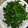 kyokoha's cooksnap of when they made ほうれん草のめんつゆおかか和え.