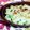 すうがん's cooksnap of when they made 簡単おいしいミルクグラタン.