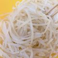 クック5R9DH9☆'s cooksnap of when they made 袋ごとレンジ＊茹でもやし＊.