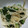 ヨシヨッシー's cooksnap of when they made オクラときのこのお浸し.