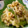 あや　ぱん's cooksnap of when they made もやしのパクパク中華炒め.