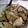 ayako0527's cooksnap of when they made ささみで簡単ヘルシー♪甘辛照り焼き丼☆.