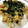 えりなふみまま's cooksnap of when they made 我が家の「木の葉丼」.