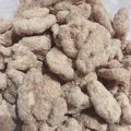 たこかめ's cooksnap of when they made きな粉くるみ.