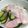 K☆mama55's cooksnap of when they made カブとハムのさっぱりサラダ.