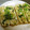 由芽15's cooksnap of when they made ［簡単節約おかず］油揚げの卵焼き.