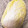 かみりょこママ's cooksnap of when they made 丸ごと白菜の長持ちさせる方法だワン.
