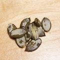 ＮＯＲＩ♫'s cooksnap of when they made かぼちゃの種の食べ方（パンプキンシード）.