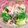 みっくママ's cooksnap of when they made ブロッコリー❁﻿鮭フレ＝粒マス＝マヨ和え.