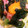 67luna's cooksnap of when they made ねぎとろとアボカドのカフェ丼風.