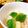 チェリム's cooksnap of when they made 蟹～竹の子の炊き込みご飯.