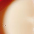 りーとぽん's cooksnap of when they made 安眠に♪はちみつミルクティー.