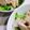 ☆☆いるかー's cooksnap of when they made つまみ茹で鶏.