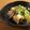 emy_はるひママ's cooksnap of when they made イカとキャベツの塩炒め.