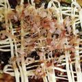 あかぷり's cooksnap of when they made 私流♡フライパンお好み焼き.
