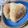 クックQJPUT1☆'s cooksnap of when they made 甘い焼おにぎり フライパン 簡単 絶品　.