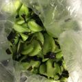 さくらのはなみ's cooksnap of when they made 青トマトと大葉の浅漬け.
