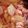 クック151MNP☆'s cooksnap of when they made いかと大根の煮物。（電気圧力鍋10分）.
