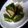 ひなあられ♀'s cooksnap of when they made 大根の梅にんにく和え.
