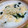 SaChi_2020's cooksnap of when they made 風邪に！わかめと長ネギのしょうがおじや.
