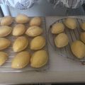 クックA3KLOG☆'s cooksnap of when they made シャリふわっ♡レモンケーキ.