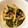 ゆきぽちゃ's cooksnap of when they made もやしとピーマンの塩こんぶ炒め.