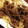 aqua51's cooksnap of when they made 野菜のうまみで煮込む・ボロネーゼソース.