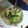 ねこはがき's cooksnap of when they made 御飯が進む中華風おかず酢の物.