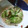ねこはがき's cooksnap of when they made 御飯が進む中華風おかず酢の物.