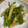 ゆぅの奥しゃん's cooksnap of when they made じゃが芋とピーマンのマヨ柚子胡椒炒め.