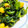 ☻'s cooksnap of when they made ✿ほうれん草のスキムごま和え✿.