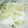 虹色♪︎ちゅーりっぷ's cooksnap of when they made 玉ねぎのほぐし方.