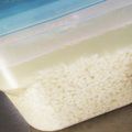 おむすび55's cooksnap of when they made 塩麹の作り方.
